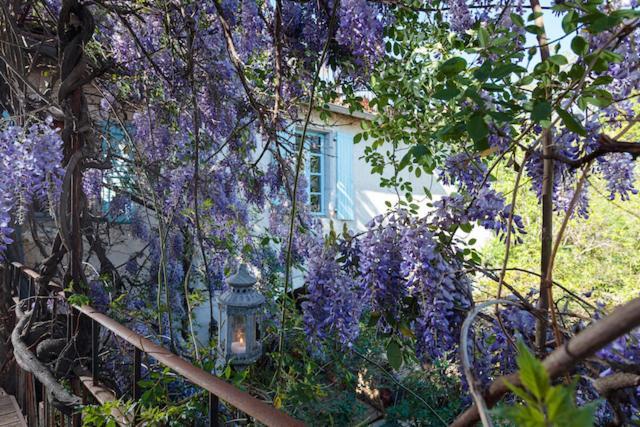 La Vieille Maison - Halte Gourmande Durfort-et-Saint-Martin-de-Sossenac Dış mekan fotoğraf