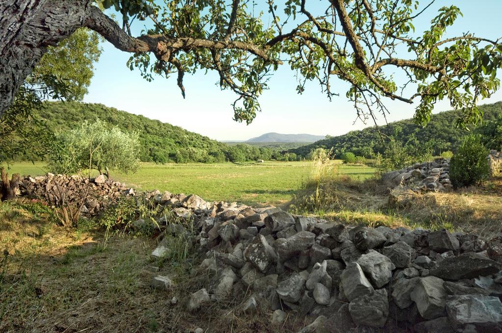 La Vieille Maison - Halte Gourmande Durfort-et-Saint-Martin-de-Sossenac Dış mekan fotoğraf